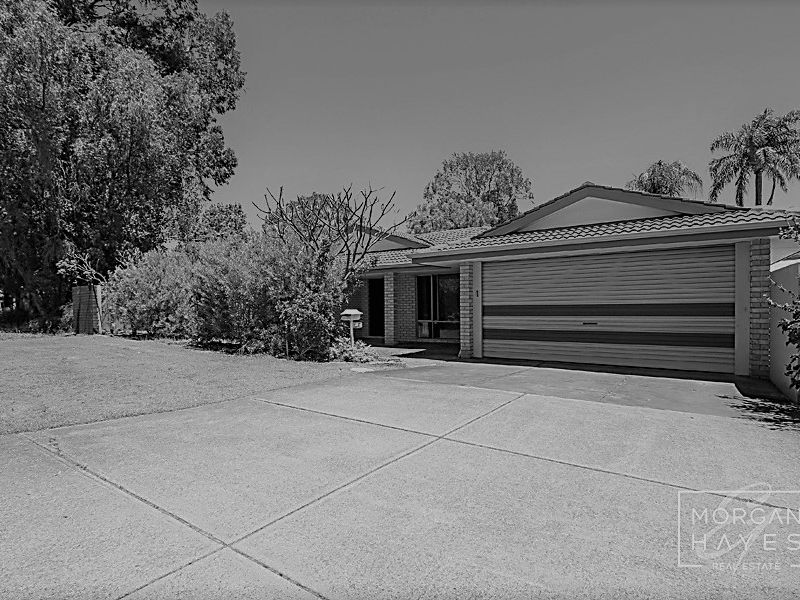 Real Estate Agent & Hayes Real Estate