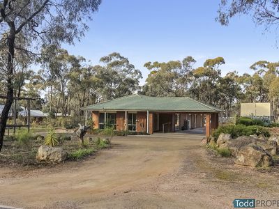 23 Braeside Drive, Junortoun