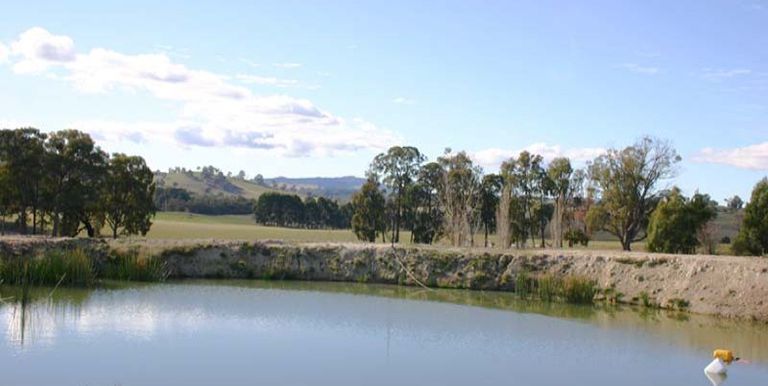 Strathbogie