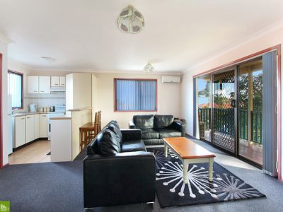 17 Sassafras Avenue, Windang