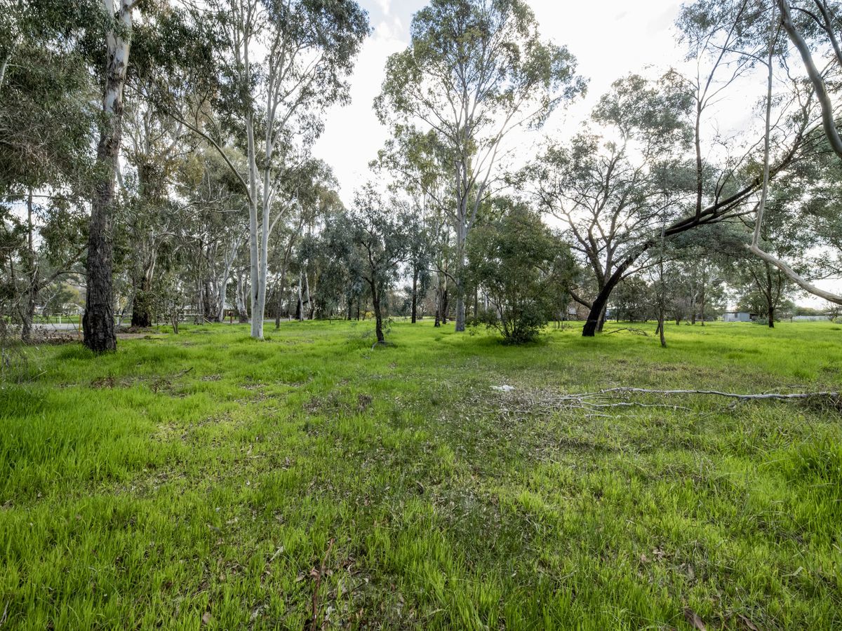 24 Cowan Street, Benalla