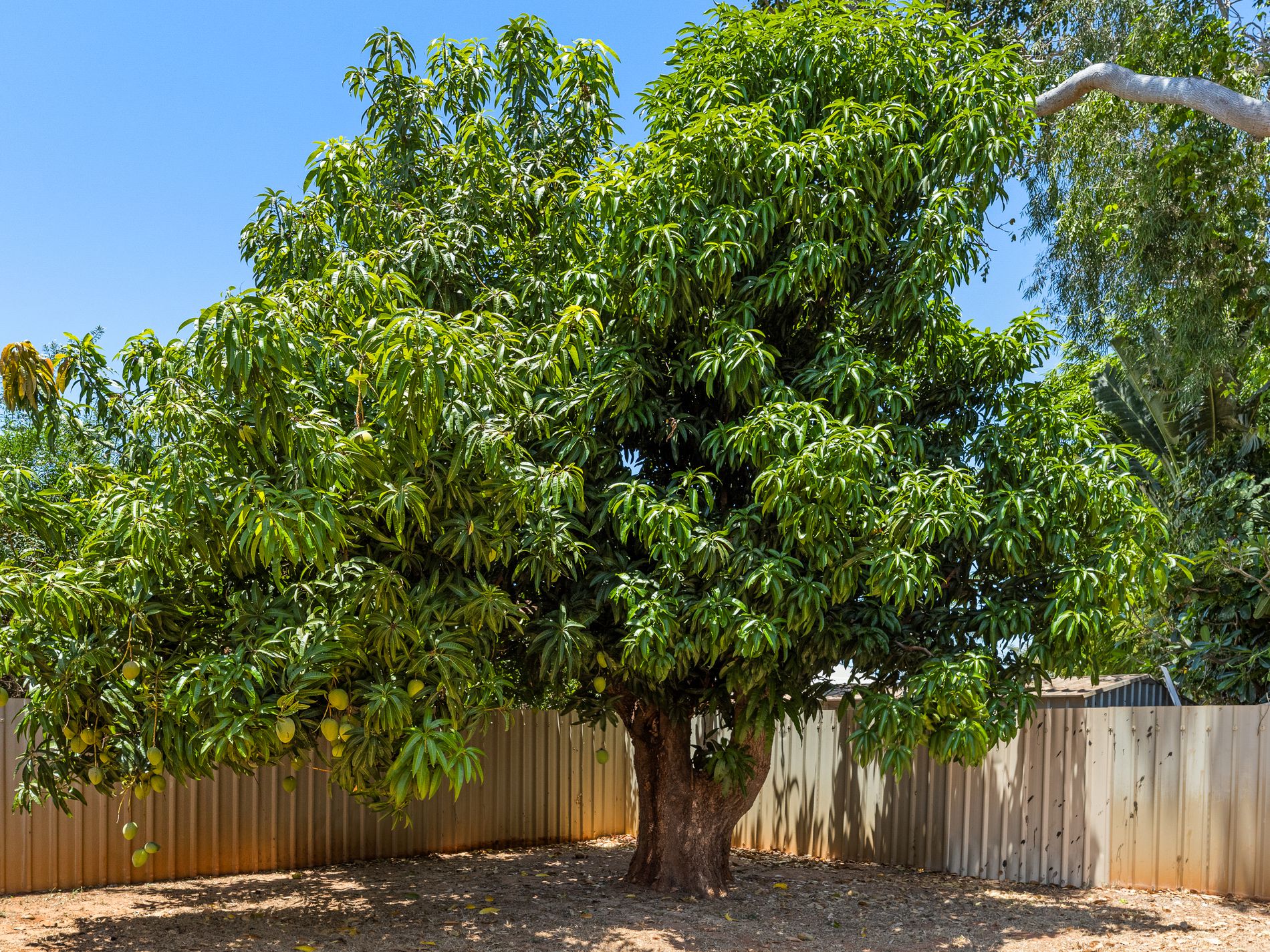 13 Brown Court, Cable Beach