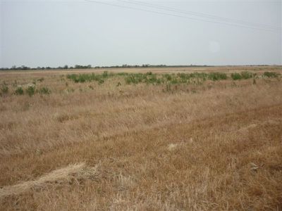 3341 Borung Highway, Donald