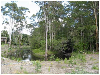 Lot 38 Lilyponds Rise Estate, Mapleton