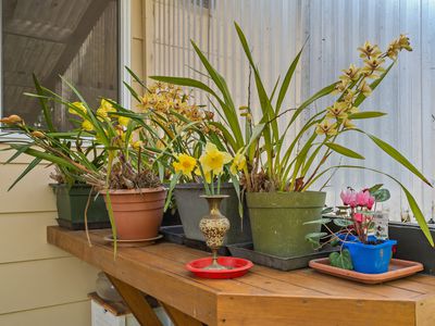 52 Stansell Avenue, Tahunanui