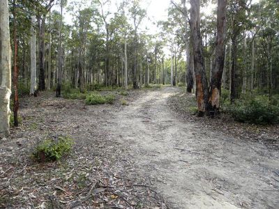 311 Wandean Road, Wandandian