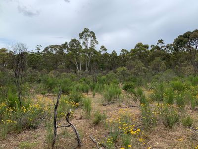 Lot 12 Heathcote-Nagambie Road, Moormbool West
