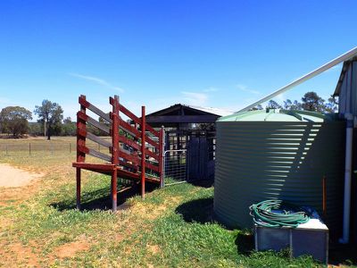 447 Dilladerry Road, Tomingley