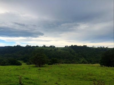 482 Terania Creek Road, The Channon