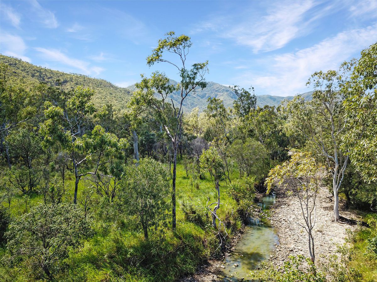 Lot 19 Lemontree Drive, Mutchilba