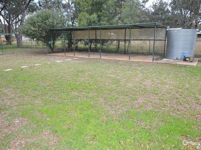 9 Nardoo Street, Ballimore