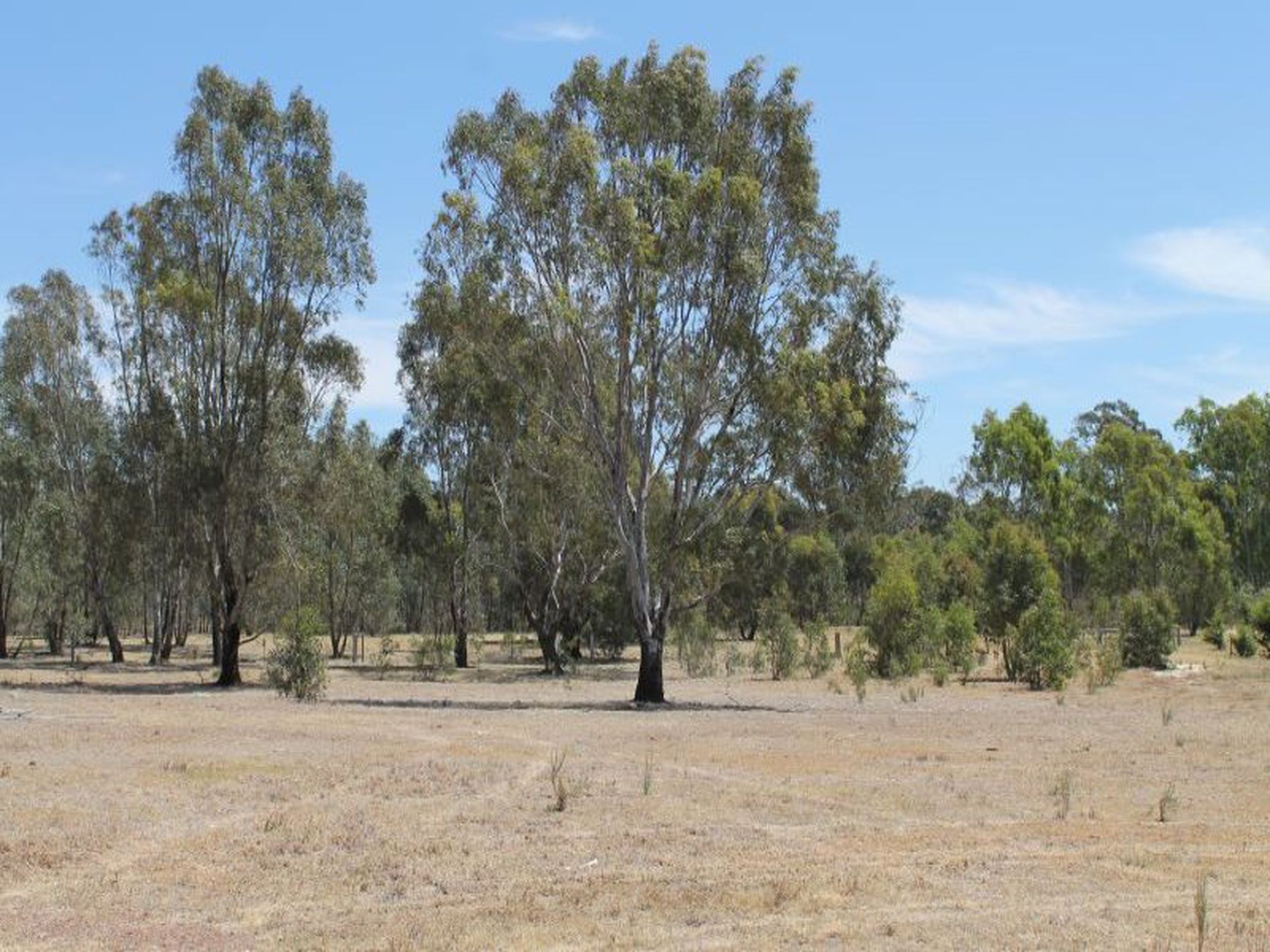 38 Jones Court, Heathcote