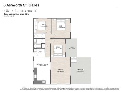 3 ASHWORTH STREET, Gailes