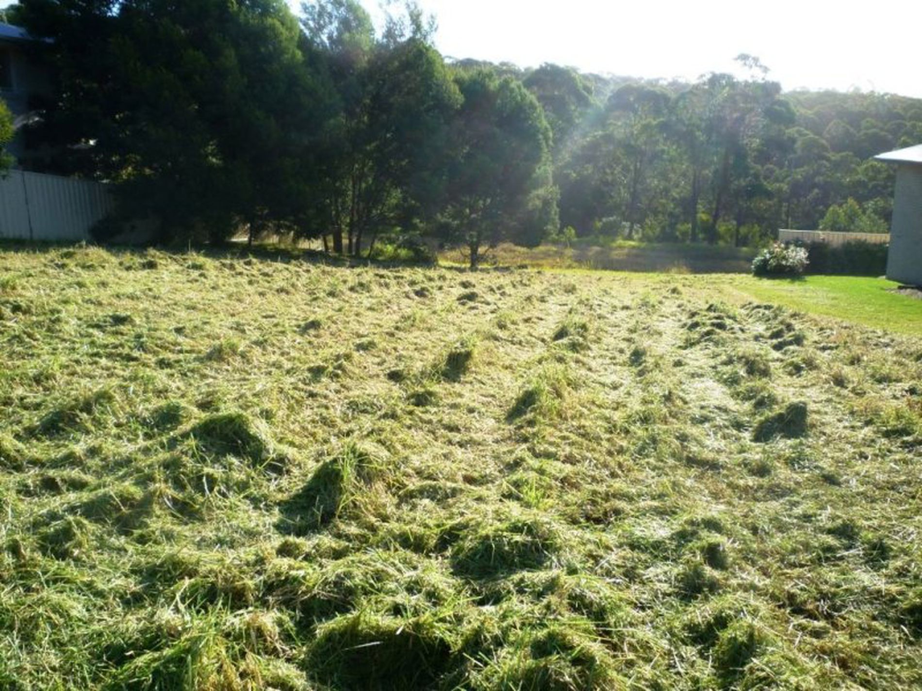 14 Everett Court, Mollymook