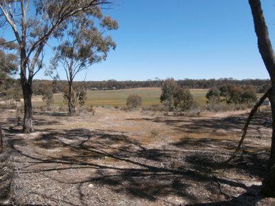 Lot 2, 5 Off Nine Mile Road, Wedderburn