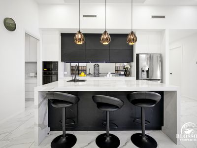 57 Ribbonwood Crescent, Marsden Park