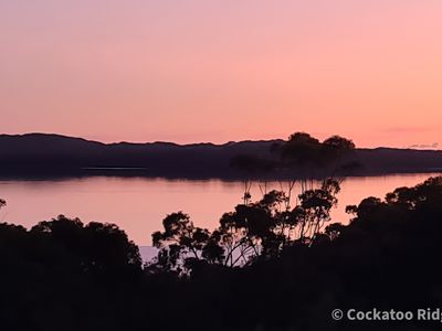 96 Rudgyard Place, Hay