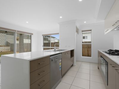 4 Falcon Circuit, Springfield Lakes