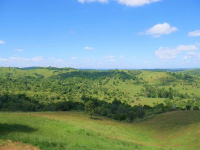 Lot 14, 236 Mercer Springate Road, Nanango