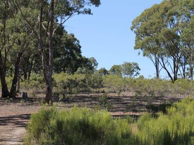 205 Youngs Lane, Heathcote