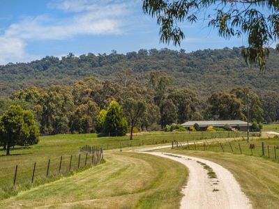 113 Whalans Track, Lancefield