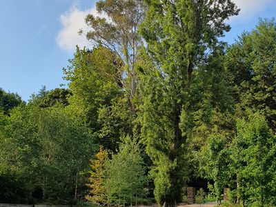 17 Ryans Parade, Mount Macedon