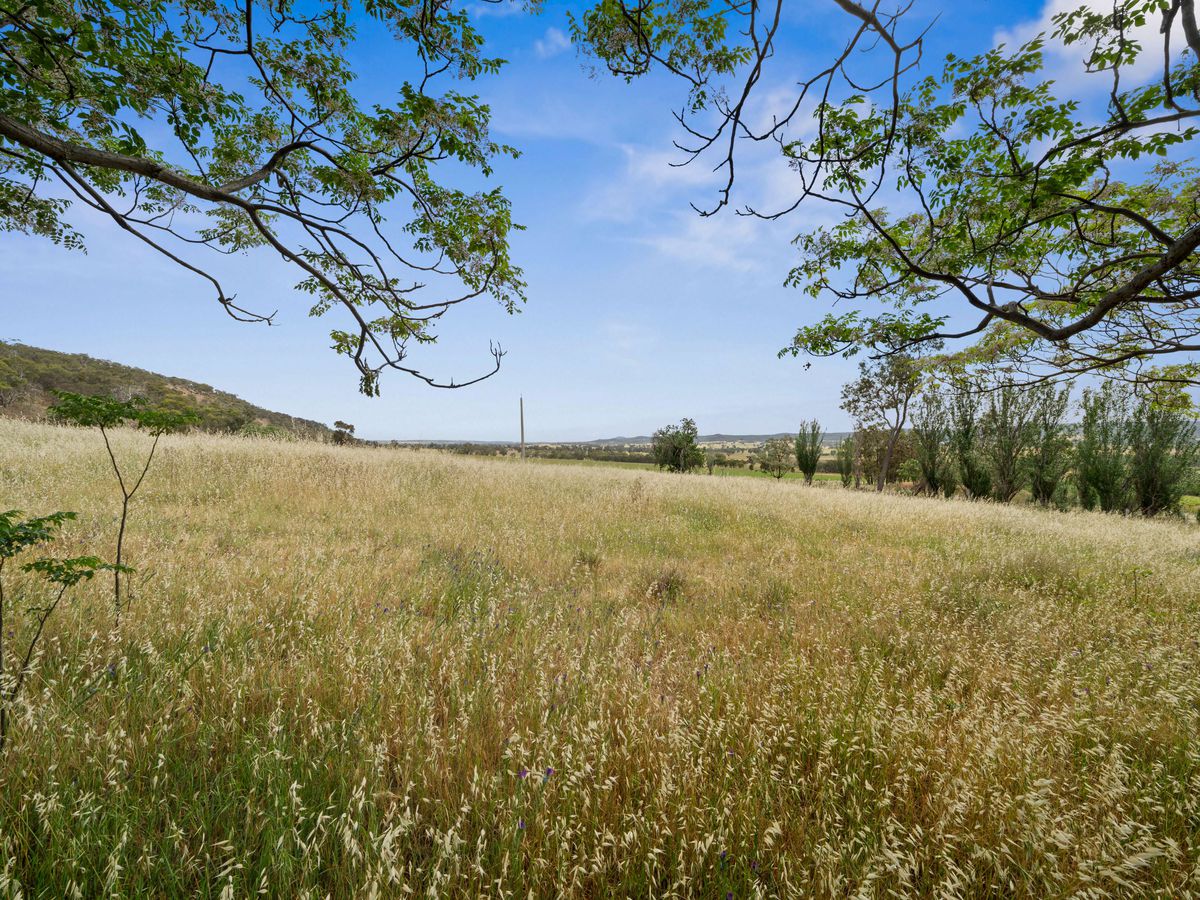 82 Brack Road, Taminick