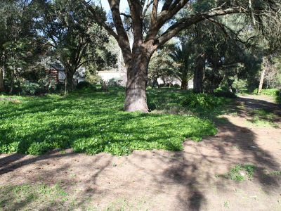 169 Williams Road, Millicent