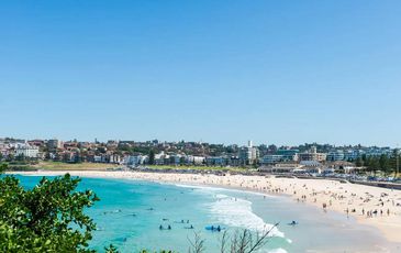 8 / 126 Ramsgate Avenue, Bondi Beach