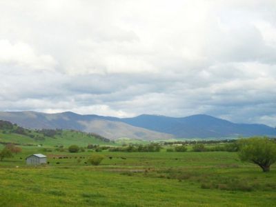 Speers Lane, Dederang