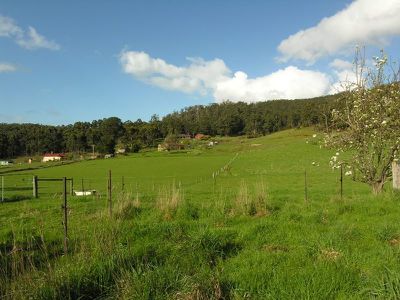 24 Rowes Rd, Geeveston