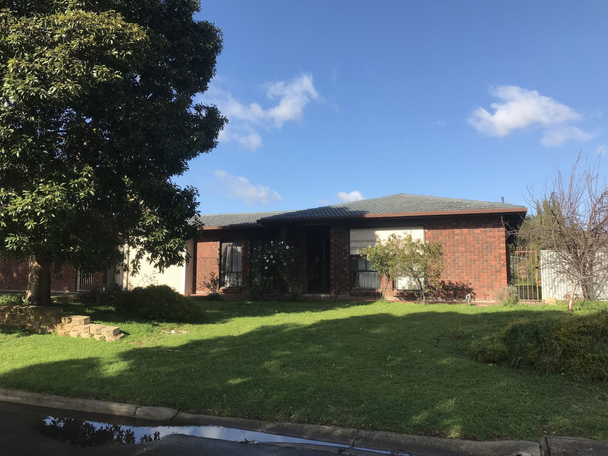 14 ROCLIN AVENUE, Newton