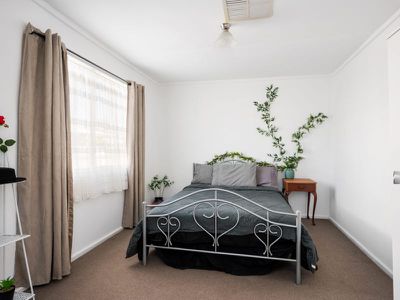 102 Wittenoom St, West Lamington