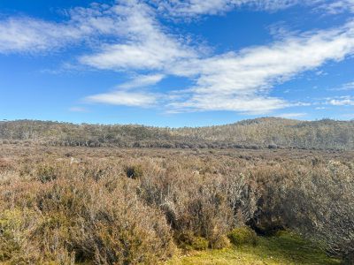 331L Arthurs Lake Road, Arthurs Lake