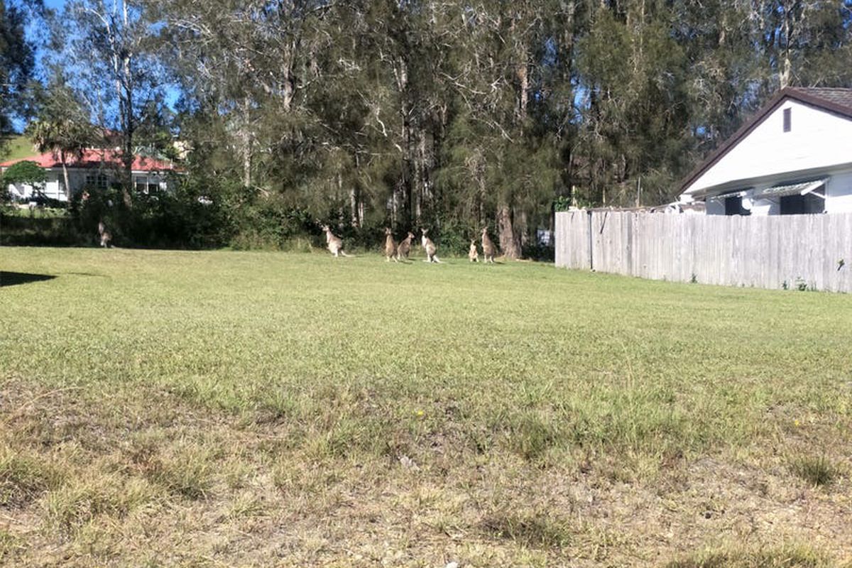 Property Image
