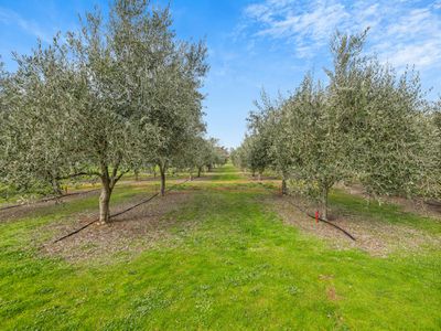 2271 Snow Road, Markwood