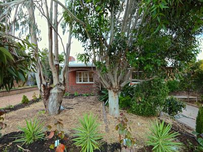 8 Shearn Crescent, Doubleview