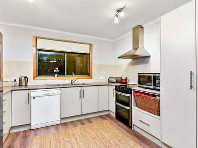 77 Williams Road, Millicent