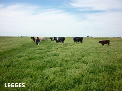 581 Mount Hope Road, Millicent