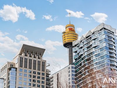 1305 / 161 Clarence Street, Sydney
