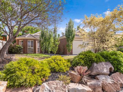 53 Potts Road, Langwarrin