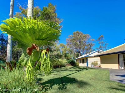 21 Suses Pocket Road, Mapleton