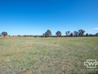 391 Carrot Farm Road, Deepwater