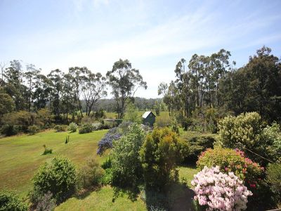 Randalls Bay