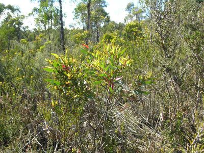 Lot 3 Huon Highway, Surges Bay