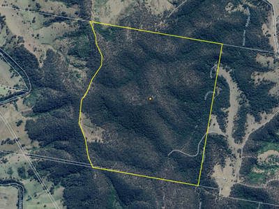 702 Comboyne Road, Byabarra