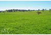 Lot 1 & 4, Mouse Hole Lane, Boree