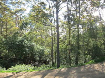 Lot 1 Missing Link Road, Wattle Grove