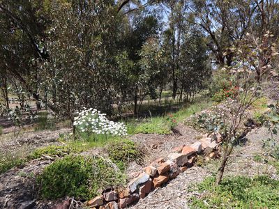 50 Pook Road, Redcastle