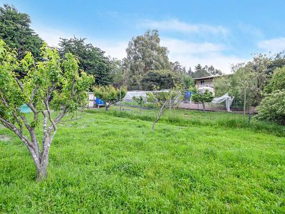 42 Autumn Road, Cradoc